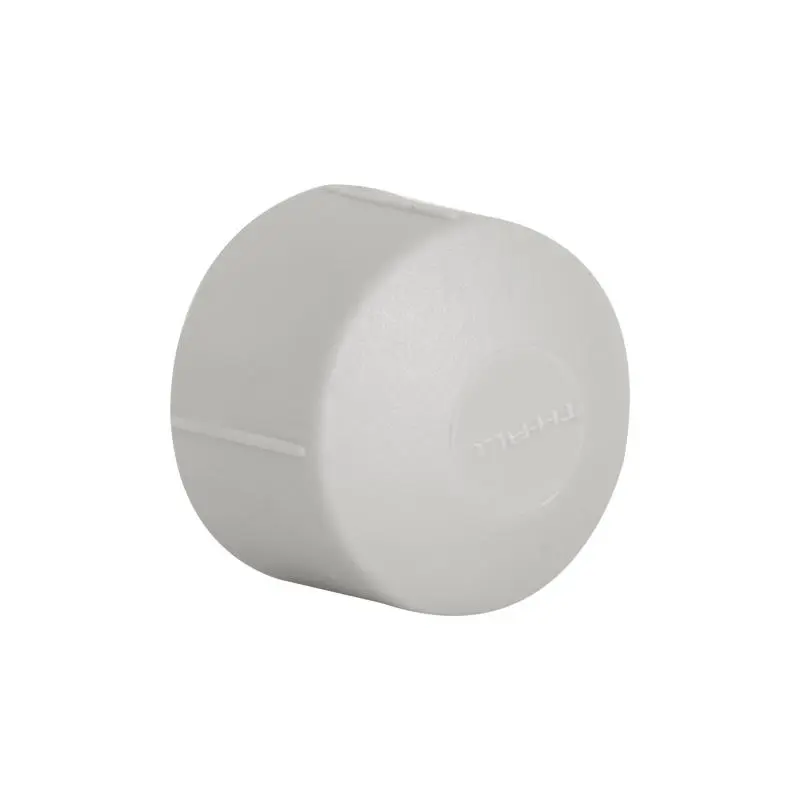 Заглушка PPR Thermo Alliance 25